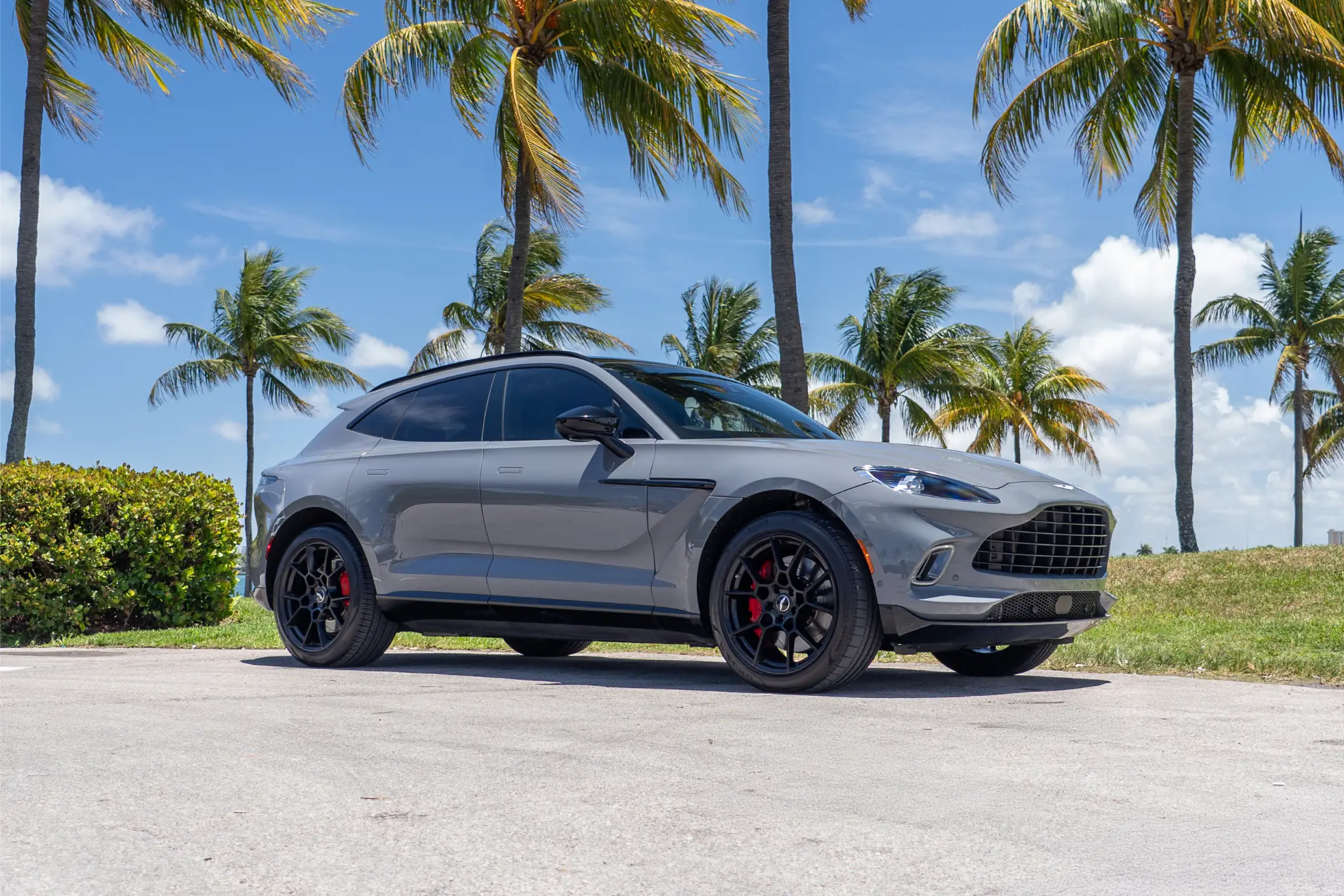 Aston Martin DBX – Grey